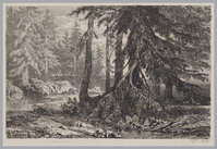 KG 14147
          <br/>
          Sparrenbos
          <br/>
          <em>Calame, Alexandre (1810 - 1864)</em>